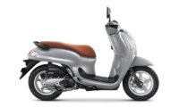 Scoopy Stylish Grey 2026